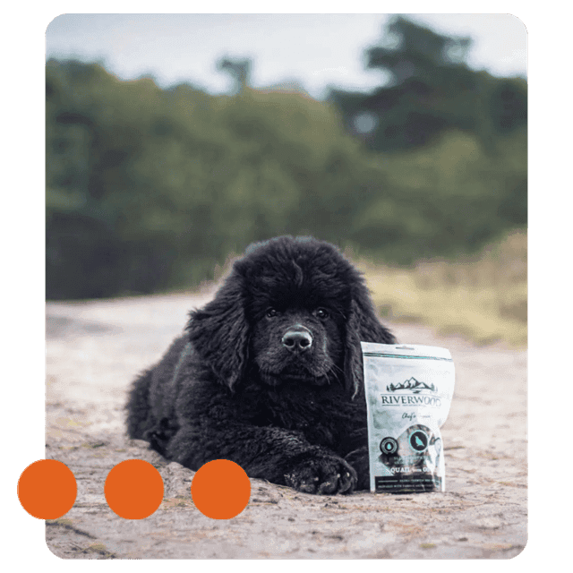 Riverwood Petfood case