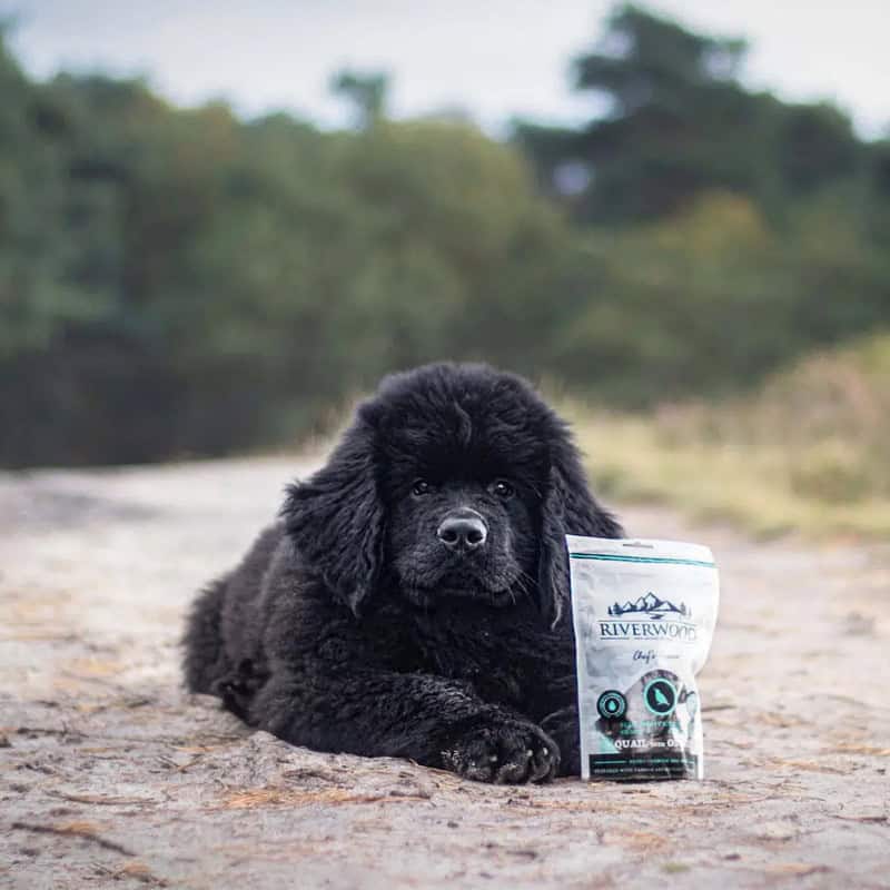 riverwoord_succesverhaal